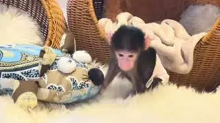 ТАК МИЛО! Николь уже немного сама играется и укладывает себя спать😘