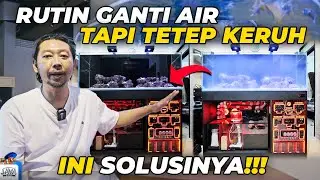 KENAPA AKUARIUM BUTEK TERUS?!
