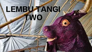 LEMBU TANGI TWO #suryapangkung