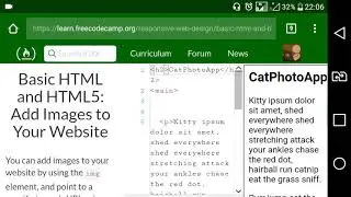 Basic HTML and HTML5 [part 9]: Add Images to Your Website