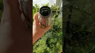 ФФ3+.Купил гофру BOSAL, осмотр.