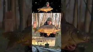 #carp #nashtackle #shimano #pescuit #carpfishing #carpfishing #viral #solartackle #korda