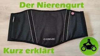 Nierengurt einfach erklärt