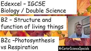 Photosynthesis Vs Respiration - Edexcel International GCSE Biology / Double Science