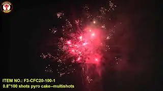 0.8''100 shots pyro cake--multishots f3 ITEM NO.: F3-CFC20-100-1