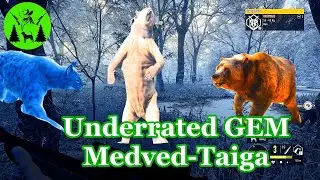 Don't Sleep on This Reserve - Medved Taiga May Be THE Reserve Right Now! theHunter Call of the Wild