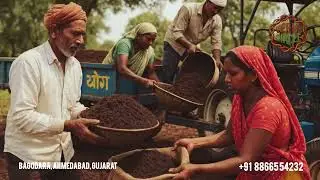 Vermi Circle Benefits For Plants and Garden