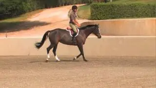 John French: How To Ride A Hunters Under Saddle Class