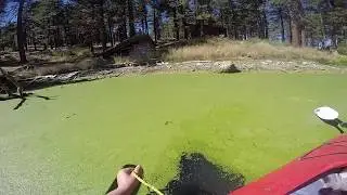 Magnet fishing an abandoned summer camp