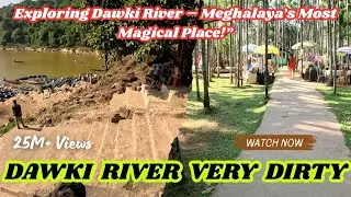 You MUST See This Place! Dawki River Magic 💫