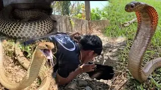 TATLONG COBRANG MABABANGIS  SA WASHING MACHINE
