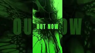 SIERRA VEINS - In The Name Of Blood (Уже в продаже!)