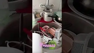 #bomdia #realidade #donadecasa #loucanapia #vidareal #donadecasaemacao #donadecasaeusou #humor