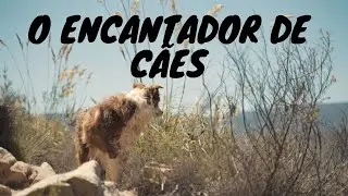O encantador de Cães - A Cadela enfurecida