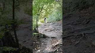J&aacute;nos-hegy ride#fun #jumps#mtb#summer#firends#kisvas&uacute;t#h&aacute;rshegy#janihegy#downhill#enduro
