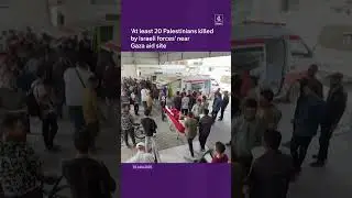 'At least 20 Palestinians killed by Israeli forces' near Gaza aid site