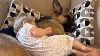 95 Pound German Shepherd's Reaction To Newborn Baby Will Shock You