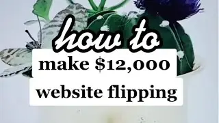 How to Make $12,000 Flipping Websites on the Side
