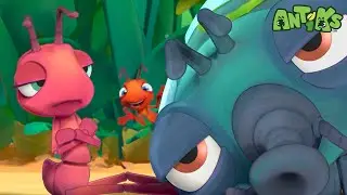 Two Ants, One Mission: The Power of Sticking Together | Antiks | Kids Cartoons | Party Playtime!