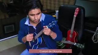 Ukulele Concierto Ortega Earth Series