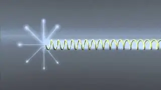 Dirac string
