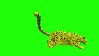 Leopard Run Y Green Screen Video Footage Free #3danimation #greenscreen #animals