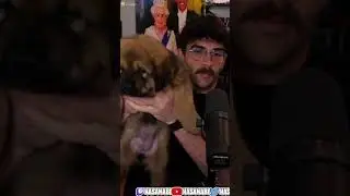 The Most rare and Expensive Dog Breed on Twitch #shorts