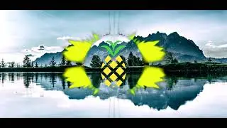 Wicked Wonderland Remix || DJ Pineapple