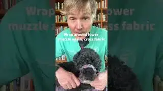 How to make a dog muzzle at home