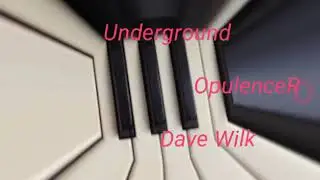 The Underground - Dave Wilk