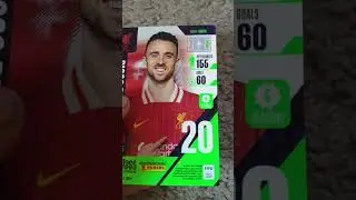 Toto sú moje všetky futbalové karty
