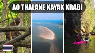 Krabi Kayaking Tour Through Mangrove Forest | Thailand