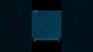 Proof That Megalodon Actually Exists 🦈 #Shorts