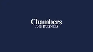 Chambers Litigation Support