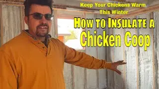 DIY Chicken Coop Building & Insulation | How to Make a Cold-Proof Coop for Happy Chickens