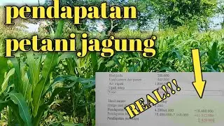 ANALISIS MODAL DAN KEUNTUNGAN PETANI JAGUNG TERBARU