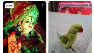  Gindg gm ka sagr bhi hai hske us par Jana pdega #🥀🙏😁❤🥀#indiansinger #indiansinger 