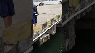 Gaya Aneh..!! Bocil mancing Baby GT di dermaga kapal barang #shorts #shortvideo #short #shortsvideo