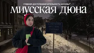 снежная гора, жизнь с котом и морозы