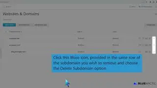 How to remove a subdomain in Plesk   BLUE ARCTIC