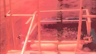 Shark cage diving for Hamel's Bachelor!