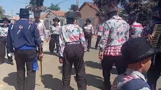 Festa do Rosário Dores do Indaiá 2024 Congo Real