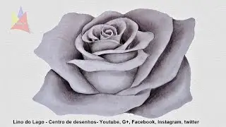 Como desenhar uma rosa- Narrado passo a passo simples