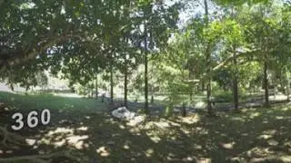 360 VR Green park in Mauritius on sunny day
