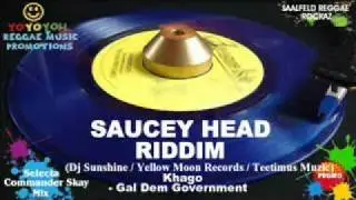 Saucey Head Riddim Mix [January 2012] [Mix February 2012] Dj Sunshine / Yellow Moon Records