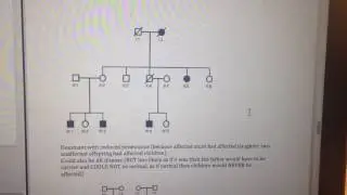 MCBHD 2) Patterns of Inheritance Quiz