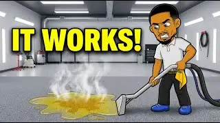 Removing Dog Urine Smell & Stains from Carpet | Real Results!