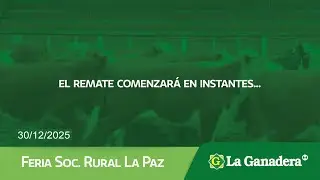 Remate de Hacienda Coop. LA GANADERA -  Feria S. R. La Paz. Martes 30 de Diciembre 2025.