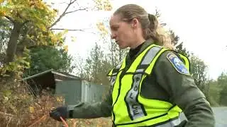 Rescue dog is WDFW's 1st K9 detection officer