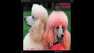 YOGO!YOGO! - Hot Stuff (2011) [Full Album]